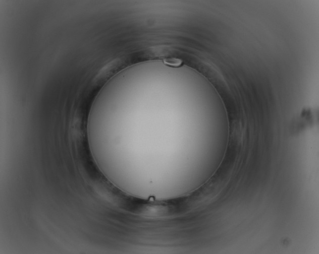 X0000094940220200712131607