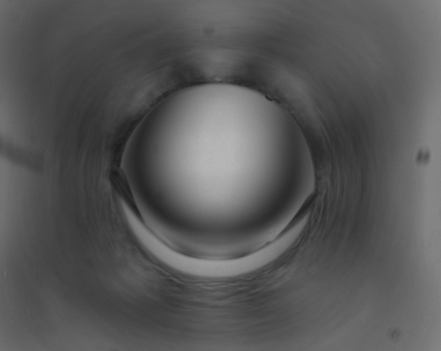 X0000094940221200712131607