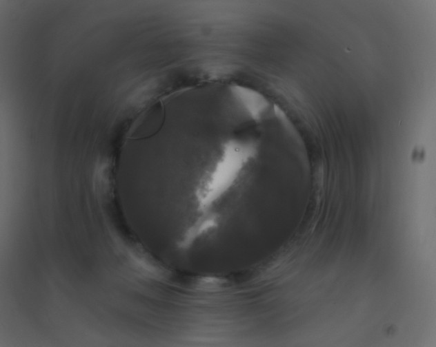 X0000094940222200712131607