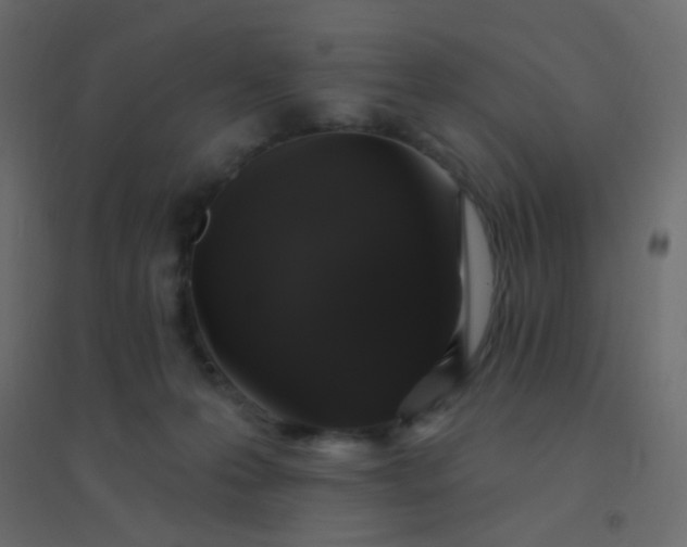 X0000094940223200712131607