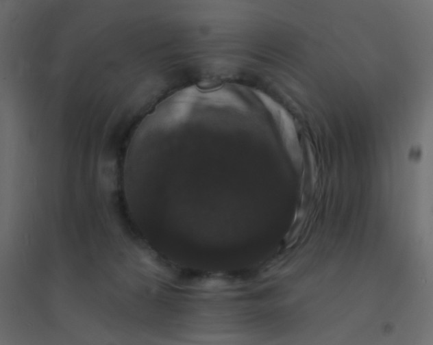 X0000094940224200712131607