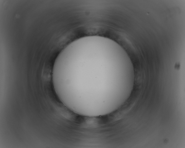 X0000094940226200712131607