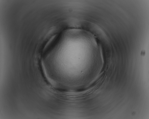 X0000094940229200712131607