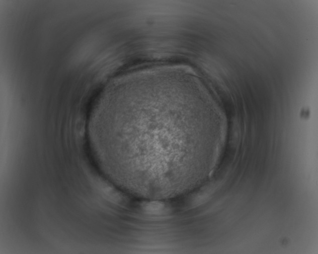 X0000094940230200712131607