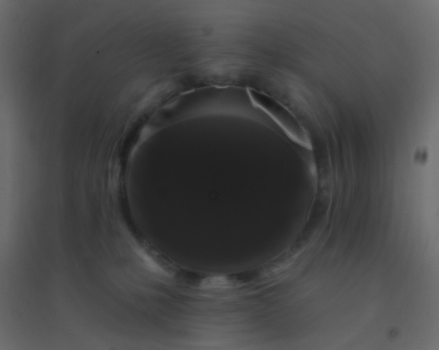 X0000094940231200712131607