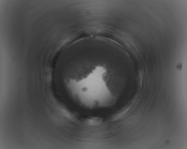 X0000094940232200712131607