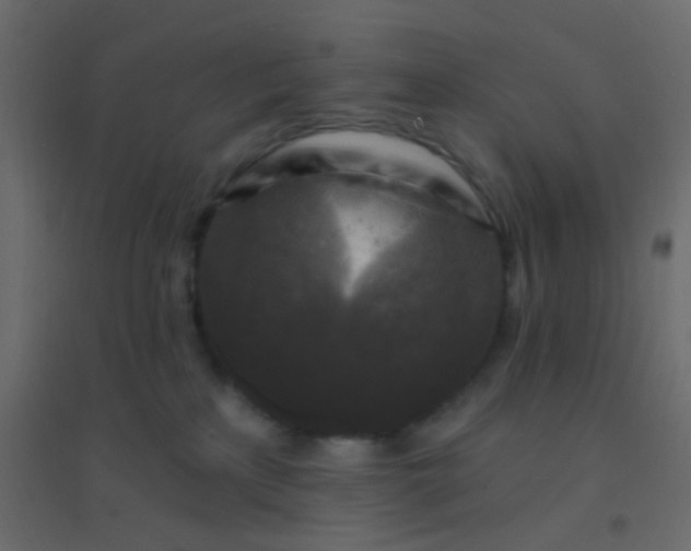 X0000094940233200712131607