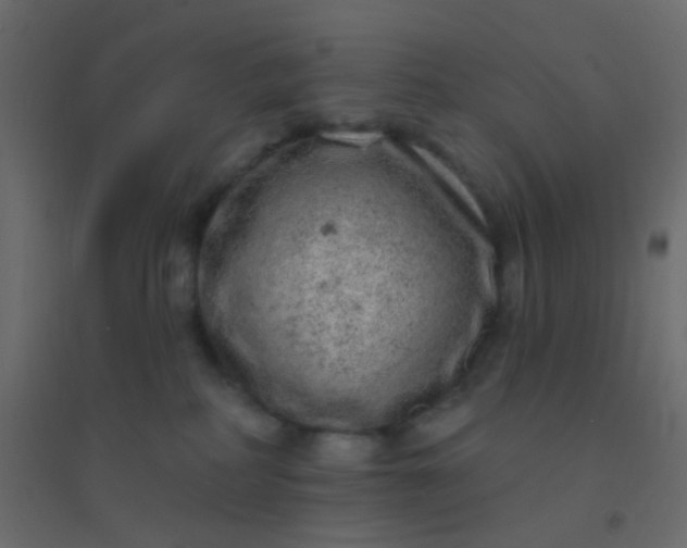 X0000094940234200712131607