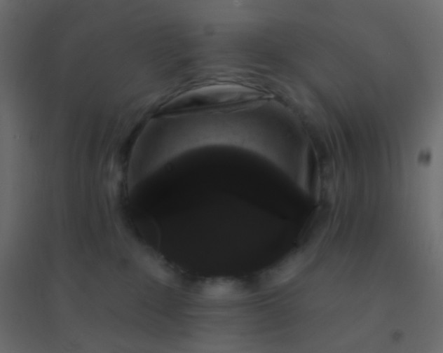 X0000094940235200712131607