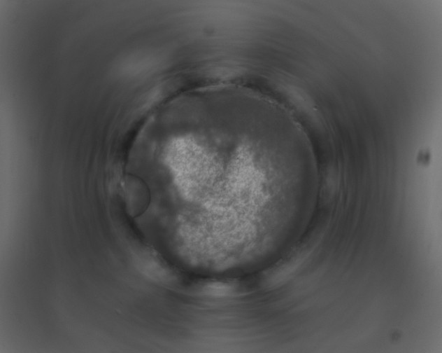 X0000094940236200712131607