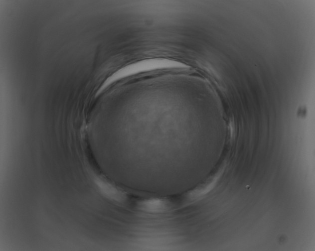 X0000094940237200712131607