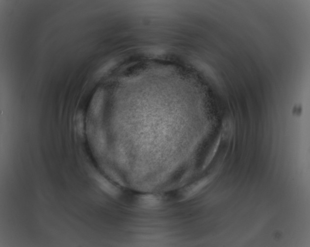 X0000094940238200712131607