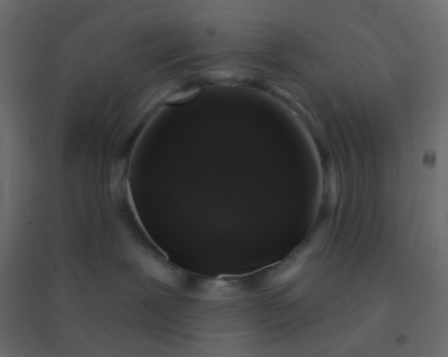 X0000094940239200712131607