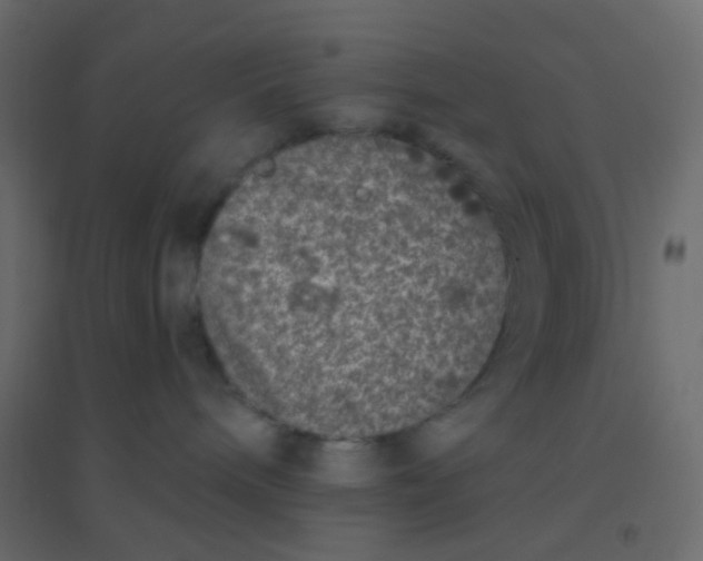 X0000094940240200712131607