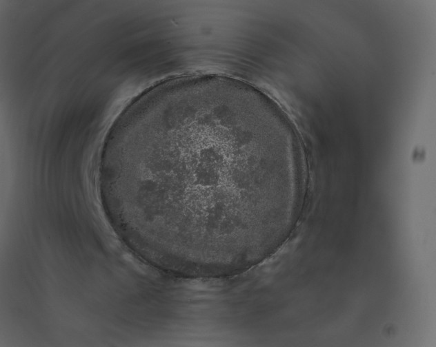 X0000094940241200712131606