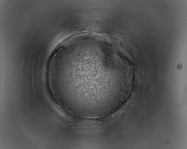 X0000094940242200712131606