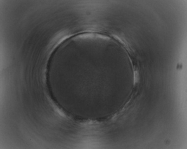 X0000094940243200712131606