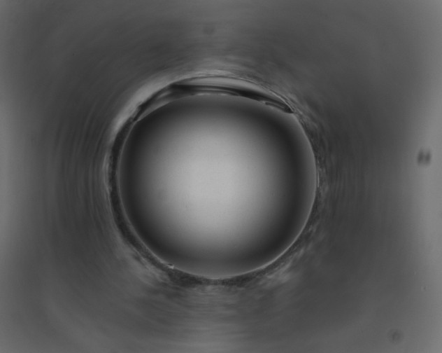 X0000094940244200712131606