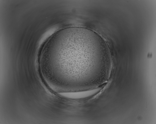 X0000094940245200712131606