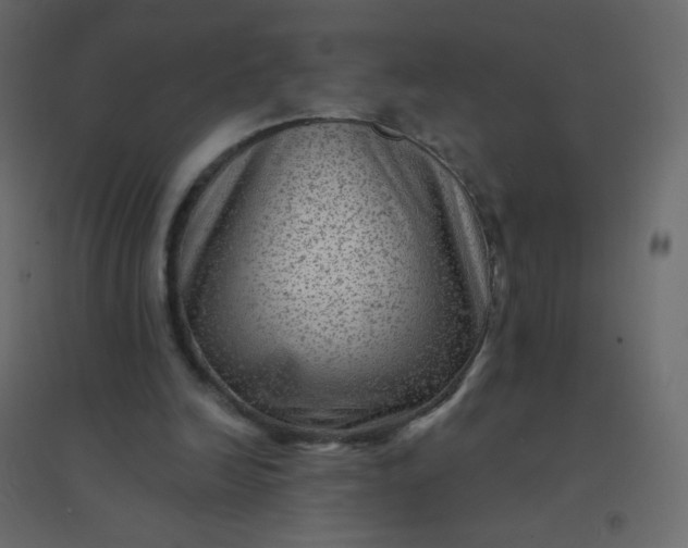 X0000094940246200712131606