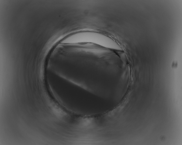 X0000094940247200712131606