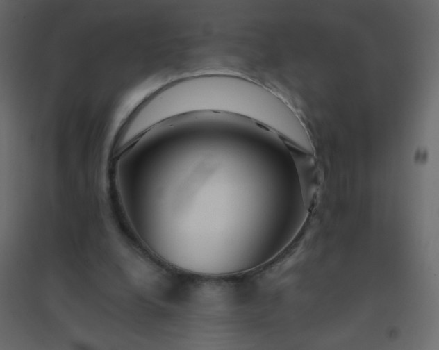 X0000094940248200712131606