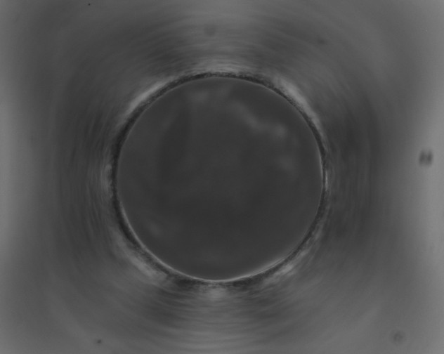 X0000094940249200712131606