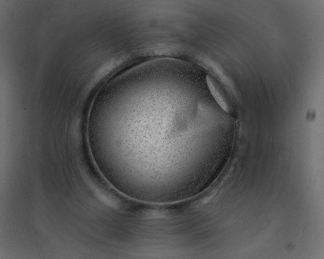 X0000094940250200712131606