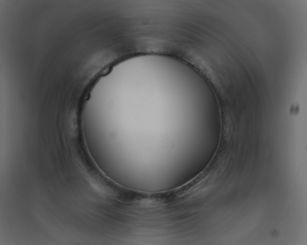 X0000094940251200712131606