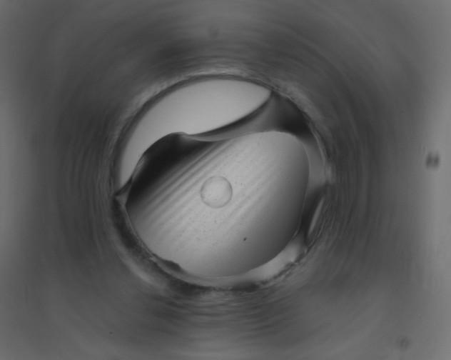 X0000094940252200712131606