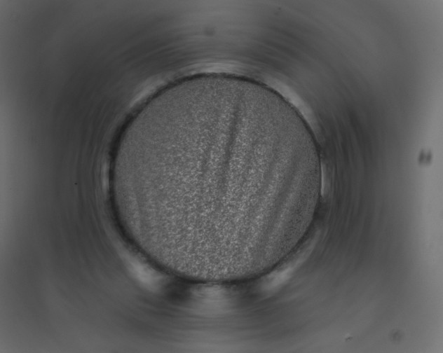 X0000094940253200712131606