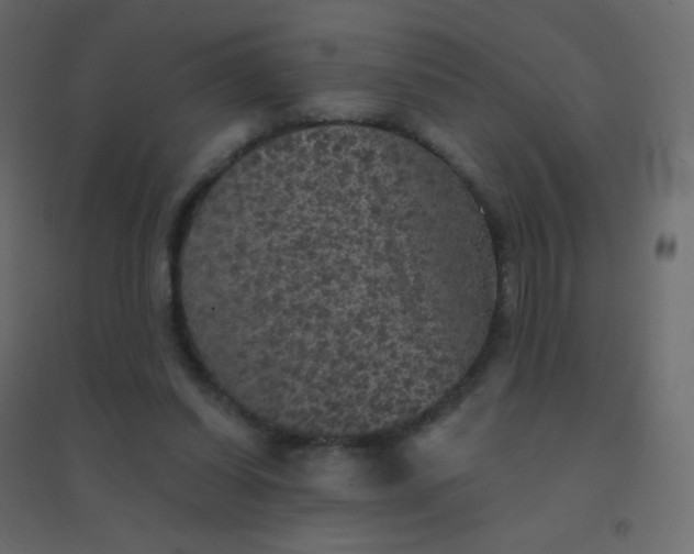 X0000094940254200712131606