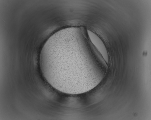 X0000094940255200712131606