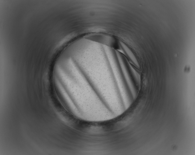 X0000094940256200712131606