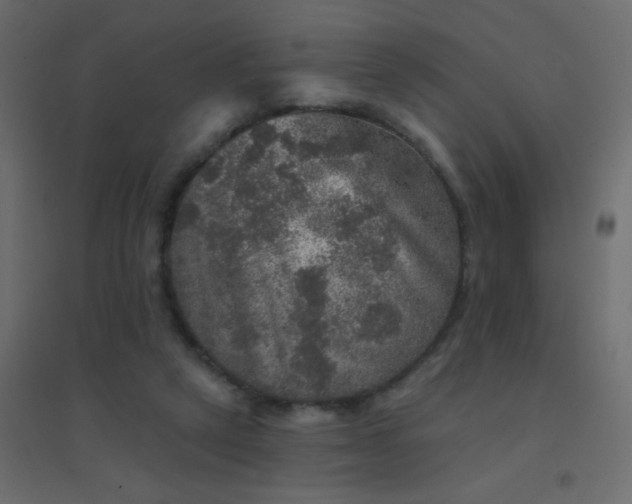 X0000094940257200712131606