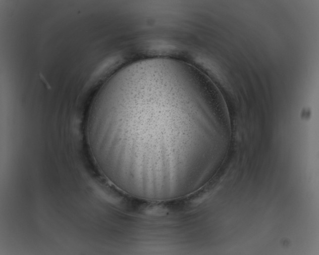 X0000094940258200712131606