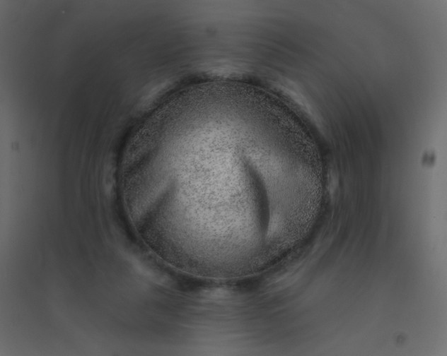 X0000094940259200712131606