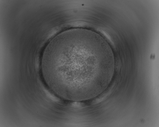 X0000094940261200712131606