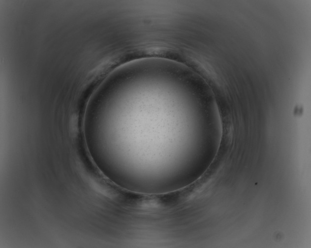 X0000094940262200712131606