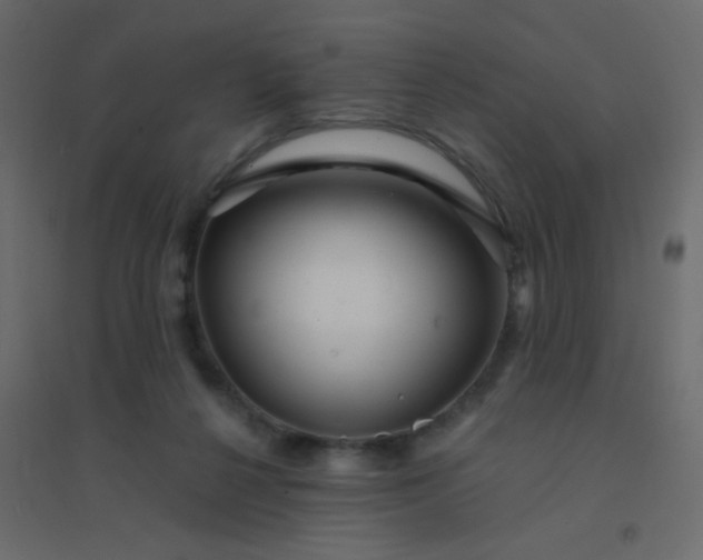 X0000094940264200712131606