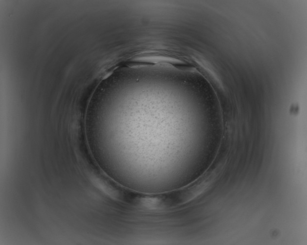 X0000094940265200712131606