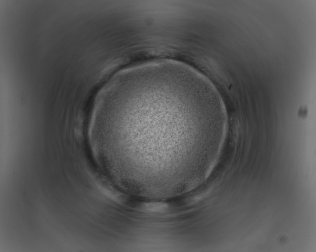 X0000094940266200712131606