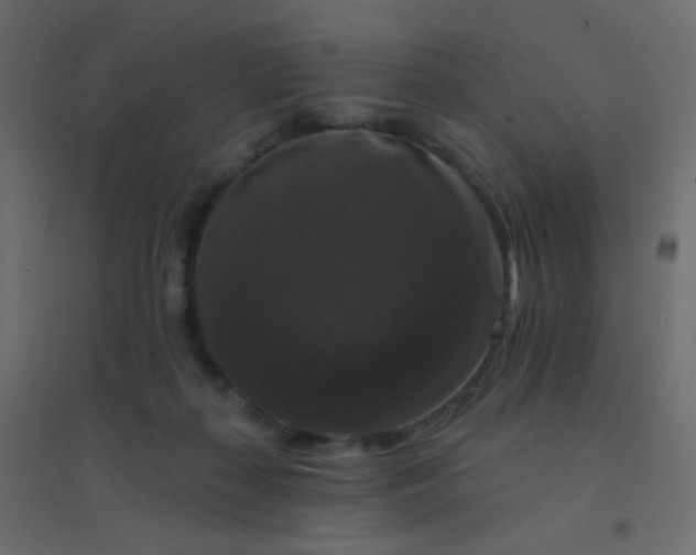 X0000094940267200712131606