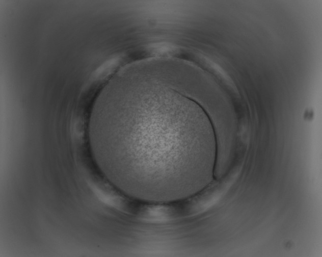 X0000094940268200712131606