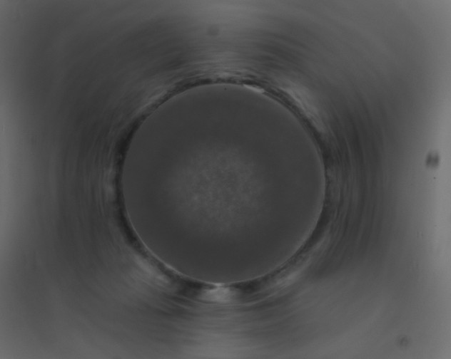 X0000094940269200712131606