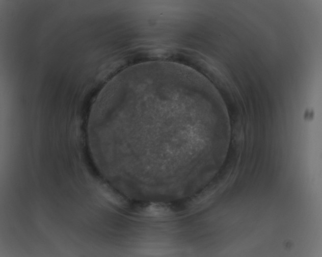 X0000094940270200712131606