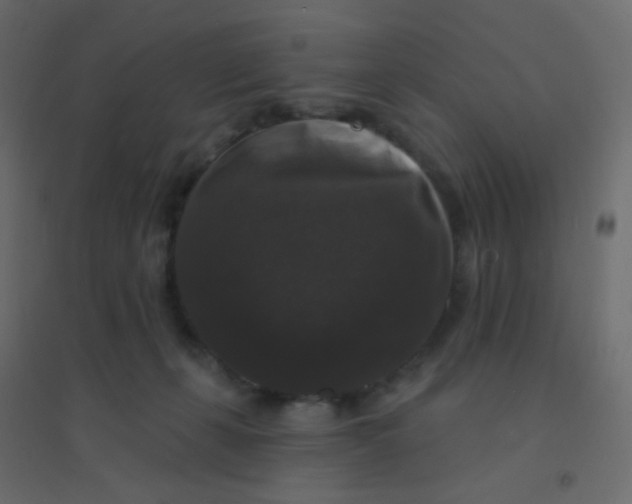 X0000094940271200712131606