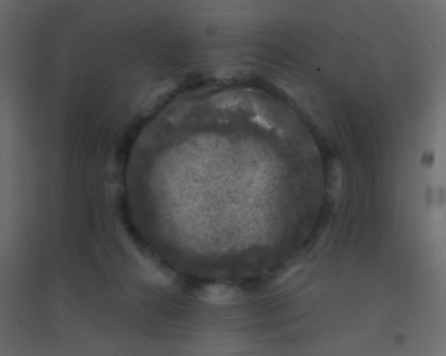 X0000094940272200712131606