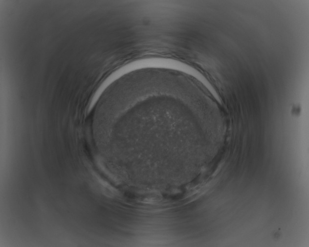 X0000094940273200712131606