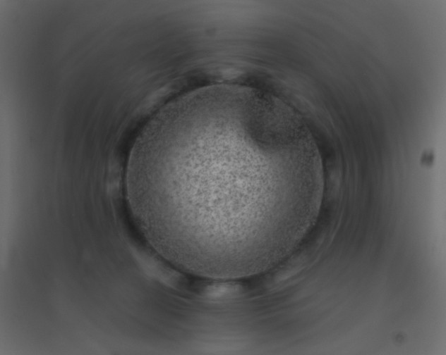 X0000094940274200712131606